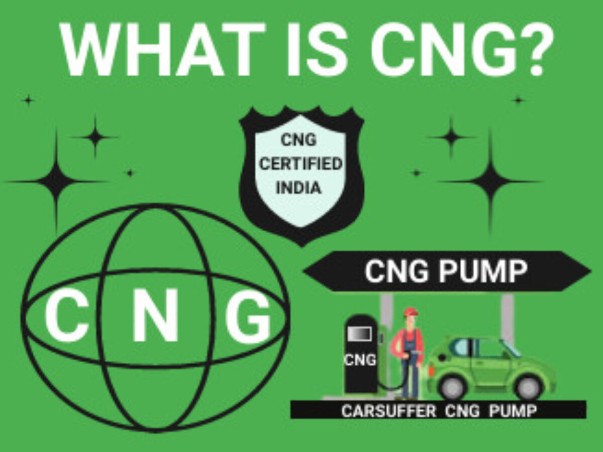 Details 138 Cng Pump Logo Latest Camera Edu Vn